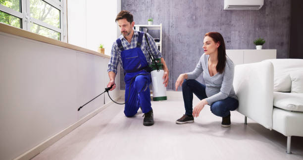 Best Real Estate Pest Inspections  in Cullowhee, NC